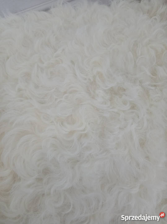 Skóra Owcza Pufa ze skóry owczej Tybetańskiej Fotele i pufy Szaflary