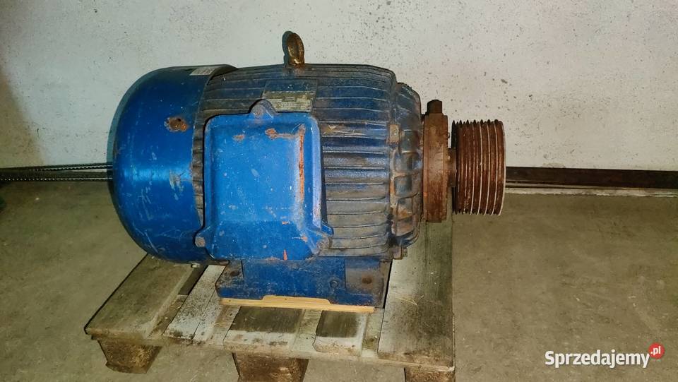 Silnik elektryczny 45kw 2960obrmin CELMA Suchedniów