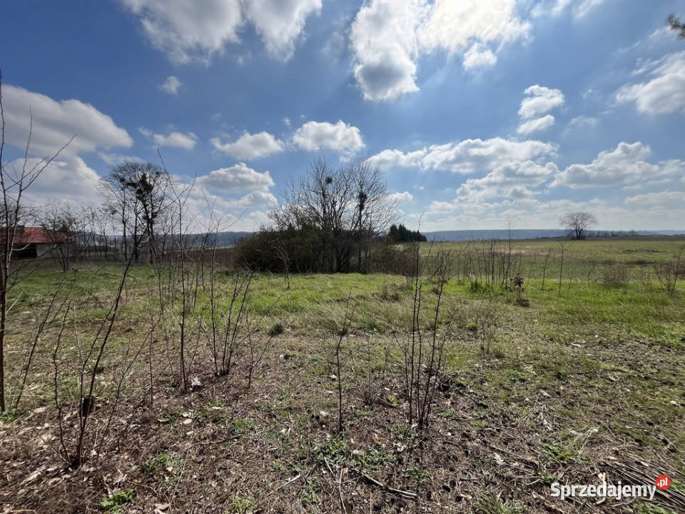 działka 2902 m2 w OblasachKsiężę asfalt Oblasy