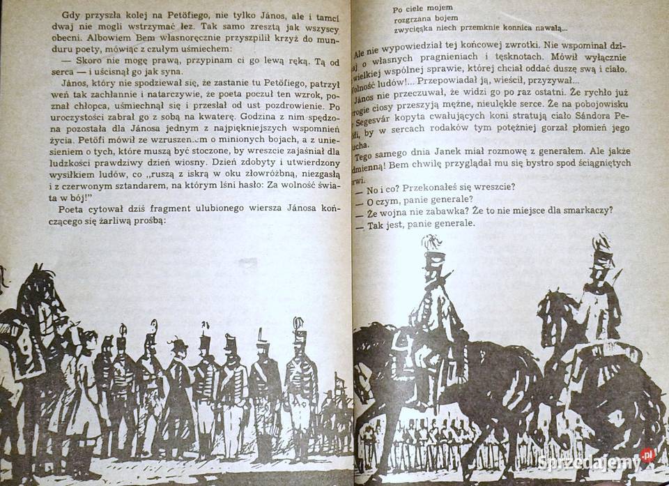 Trójkolorowa kokarda Jadwiga Chamiec