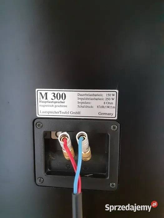 TEUFEL M300 kultowy zestaw kolumn do kina Owińska