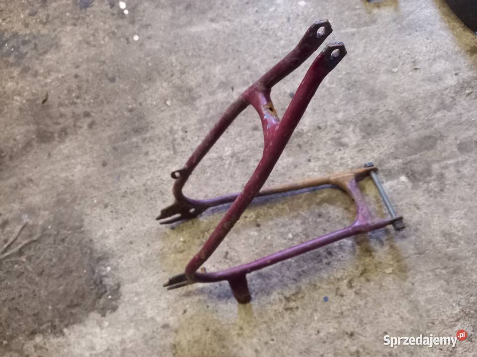 Wachacz komar sztywniak Sokołów Podlaski