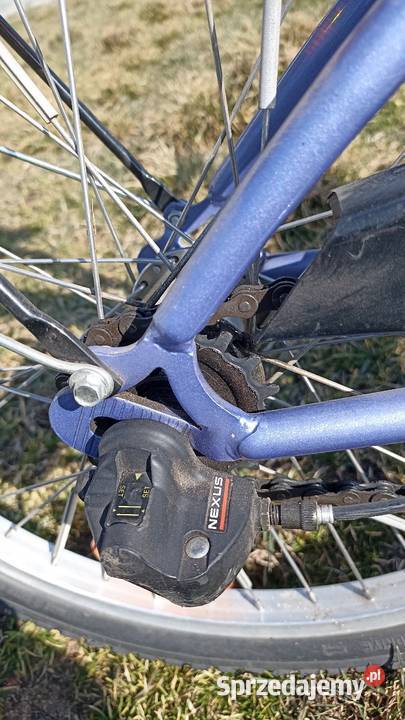 Rower dziewczynki Pegasus 20 lubelskie Radzyń Podlaski