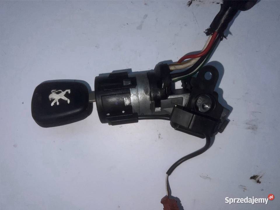 Stacyjka Peugeot 307 20 HDI Ostrzeszów