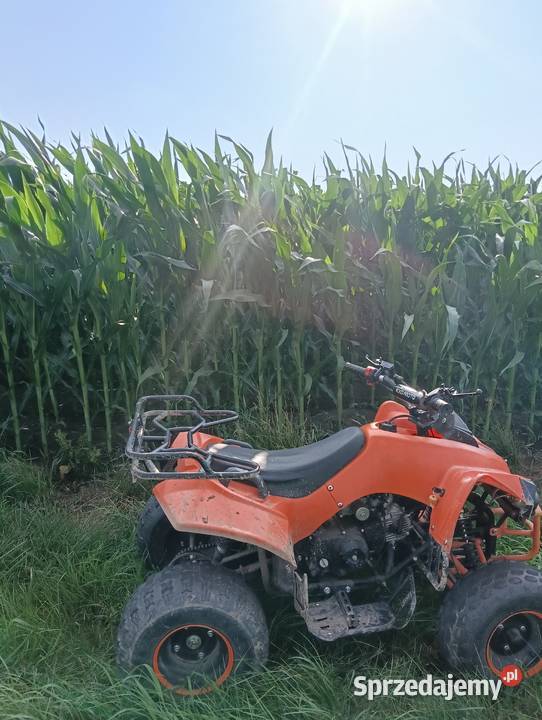 Quad kxd ATV 125cc Przasnysz