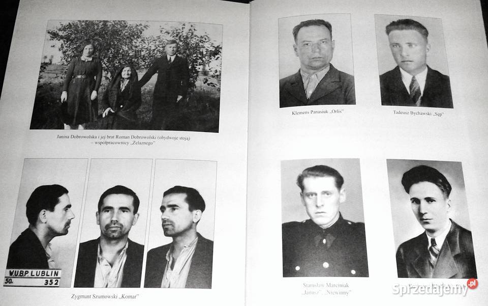 Trzy pamiętniki Edmund Edward Taraszkiewicz lubelskie sprzedam