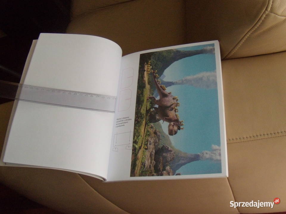 Minionki do składania Książeczka zręcznościowa mazowieckie Warszawa