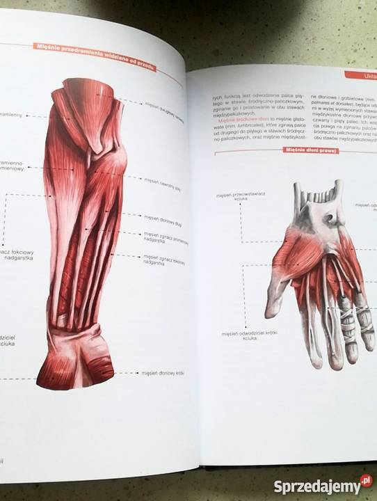 Atlas anatomii Mazurek Justyna fa medycyna, nauki medyczne zachodniopomorskie sprzedam