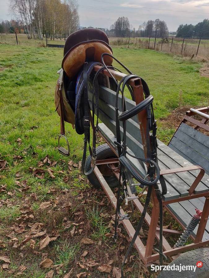 Komplet na hucuła Łopuszno