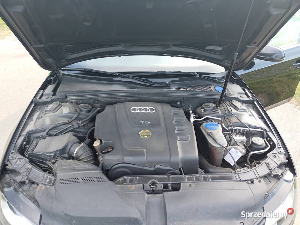 Audi S4 b8 Terespol sprzedam