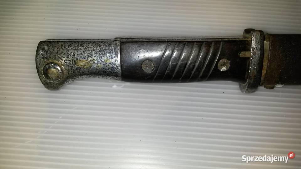 Bagnet Niemiecki wielkopolskie Poznań