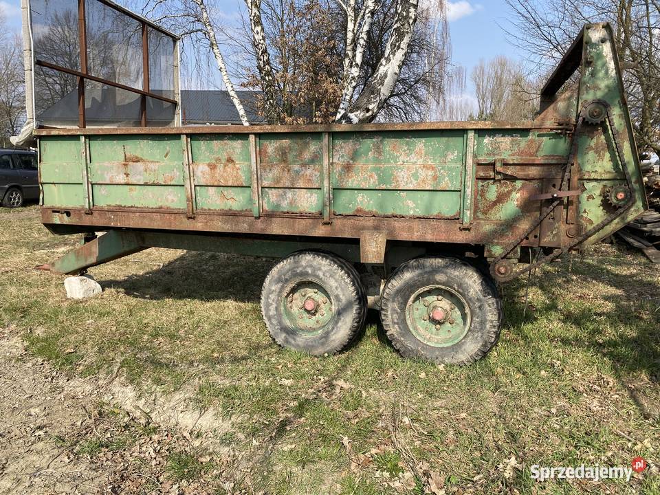 Rozrzutnik tandem Goździk