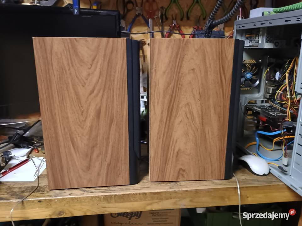 Kolumny głośnikowe wielkopolskie Wągrowiec