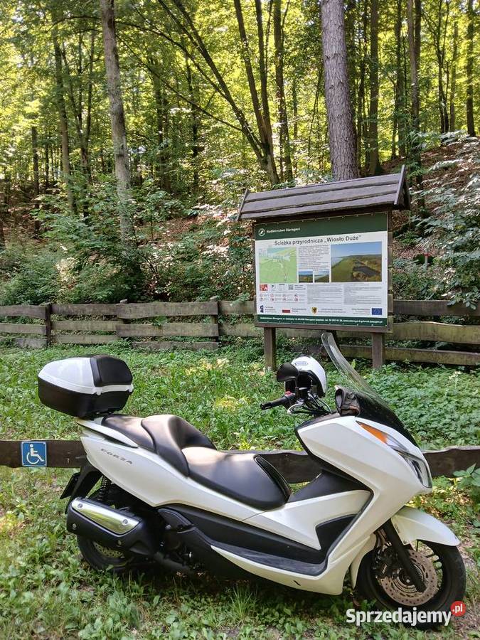 Honda Forza NSS300 niski przebieg bezwypadkowy perła Pelplin