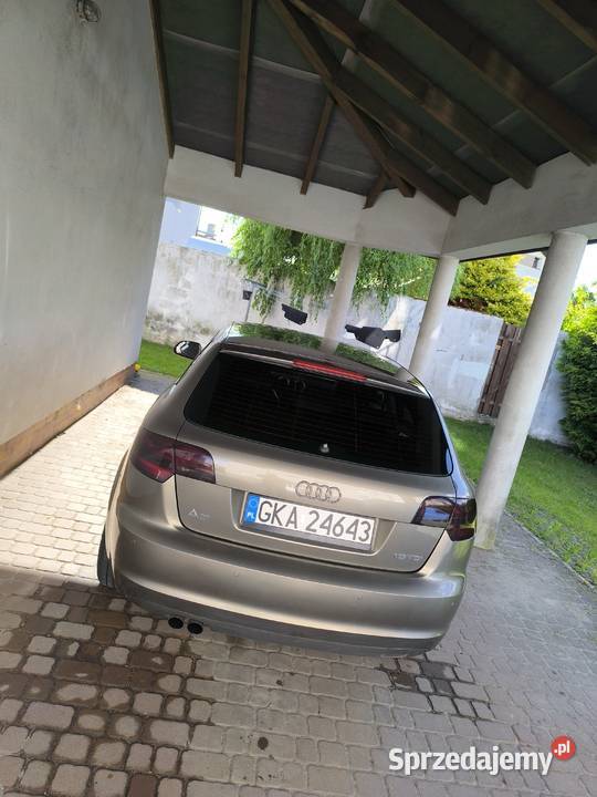 Audi A3 8P pomorskie Sierakowice