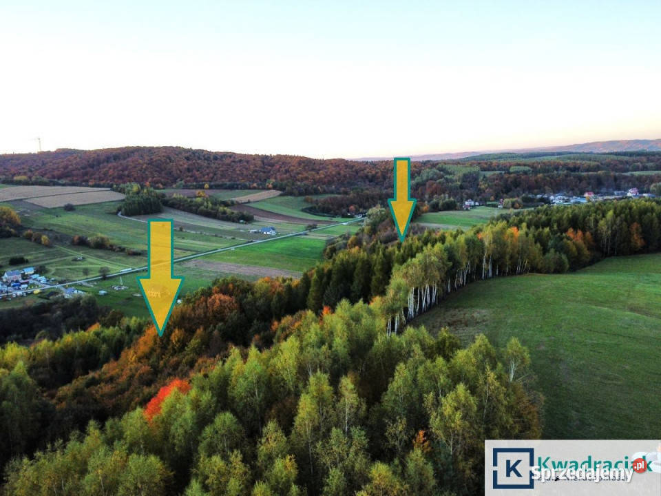 Działka 57900m2 Wolica