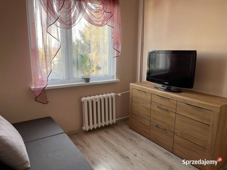 3 niezależne pokojezwierzęta mile wdziane pomorskie