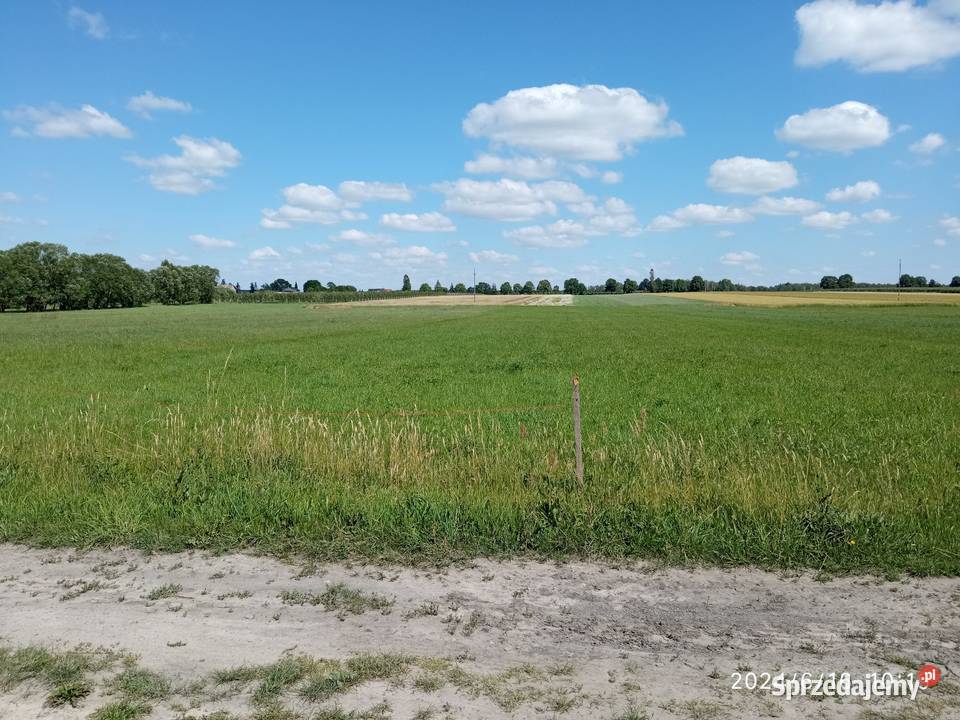 Sprzedam działkę rolną 1 ha Czepielin Kolonia Czepielin-Kolonia