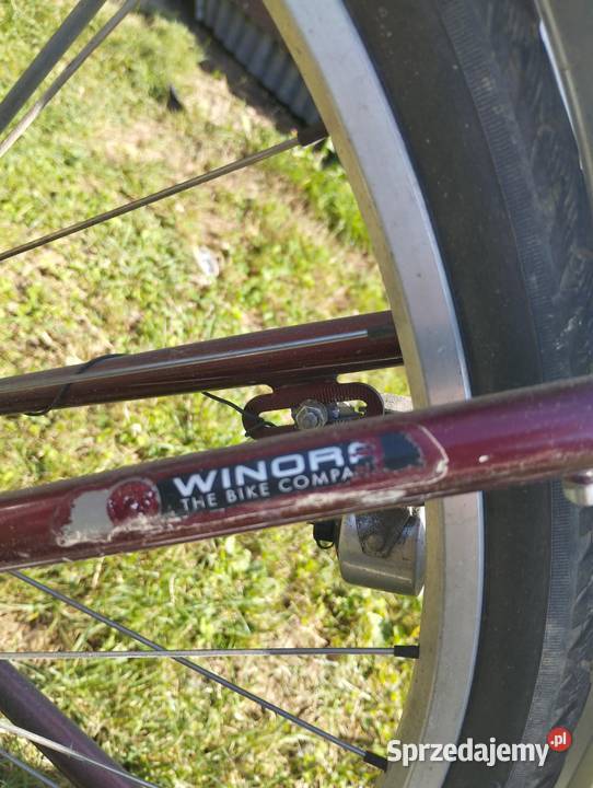 Rower damka winora 28