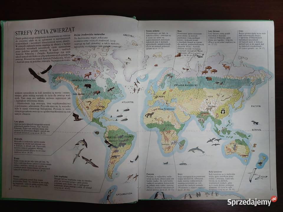 Świat wczoraj i dziś W świecie zwierząt Tarnowskie Góry