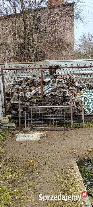 Sprzedam drzewo śląskie Aleksandria sprzedam