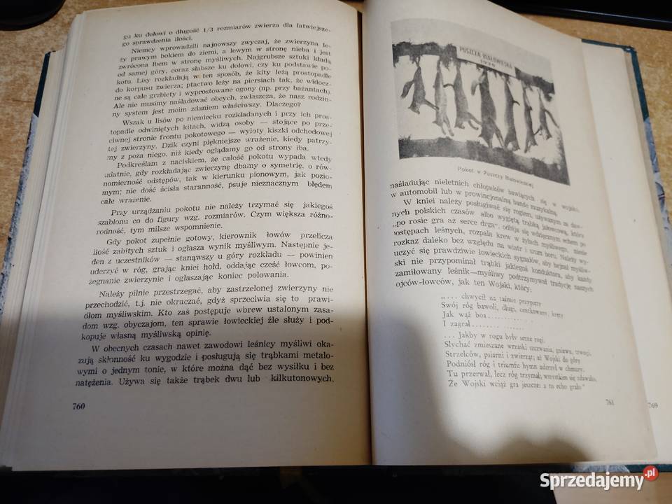 ŁOWIECTWO Podręcznik leśników i myśliwych Iwno