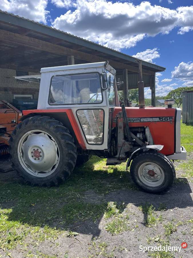 Massey Ferguson 565 z turem lubelskie Stawek