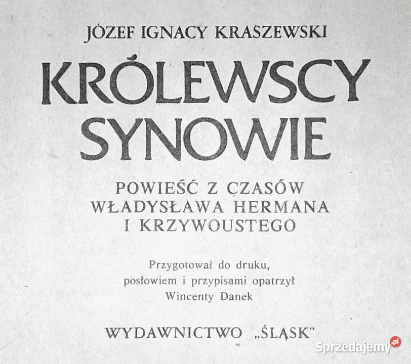 Królewscy synowie Józef Ignacy Kraszewski Chełm