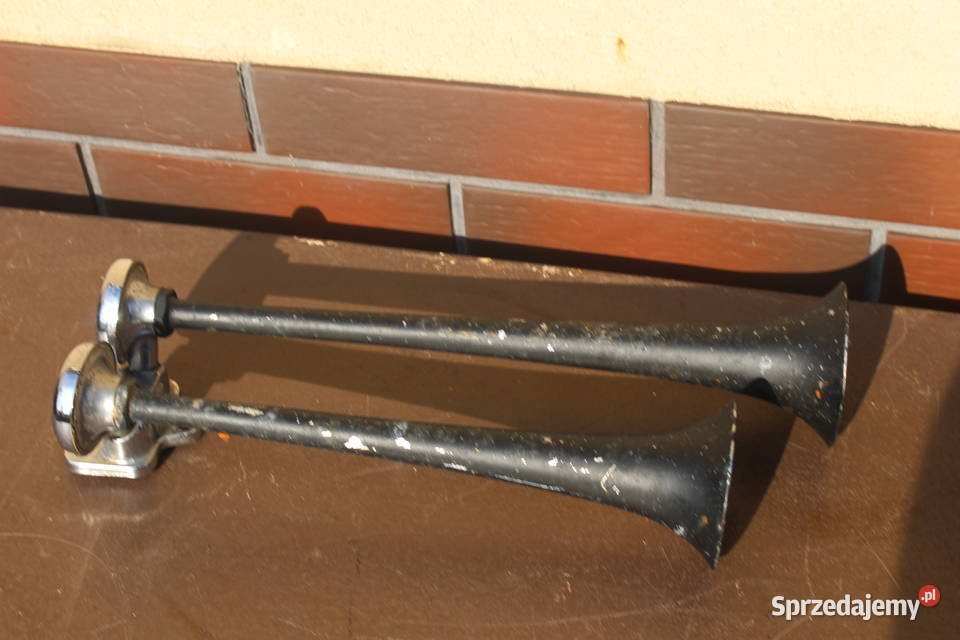 klakson podwójnymetalowy wielkopolskie