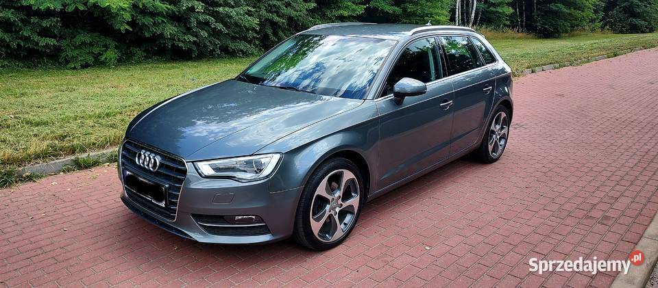 Audi A3 16 TDI CR 110 super stan techniczny ESP