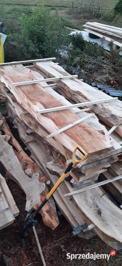 Wiąz deski bale brusy wiązu Rzeszów