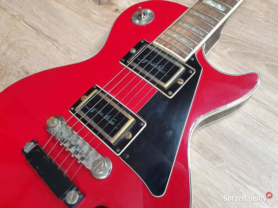 Jolana Diamat futerał Warszawa