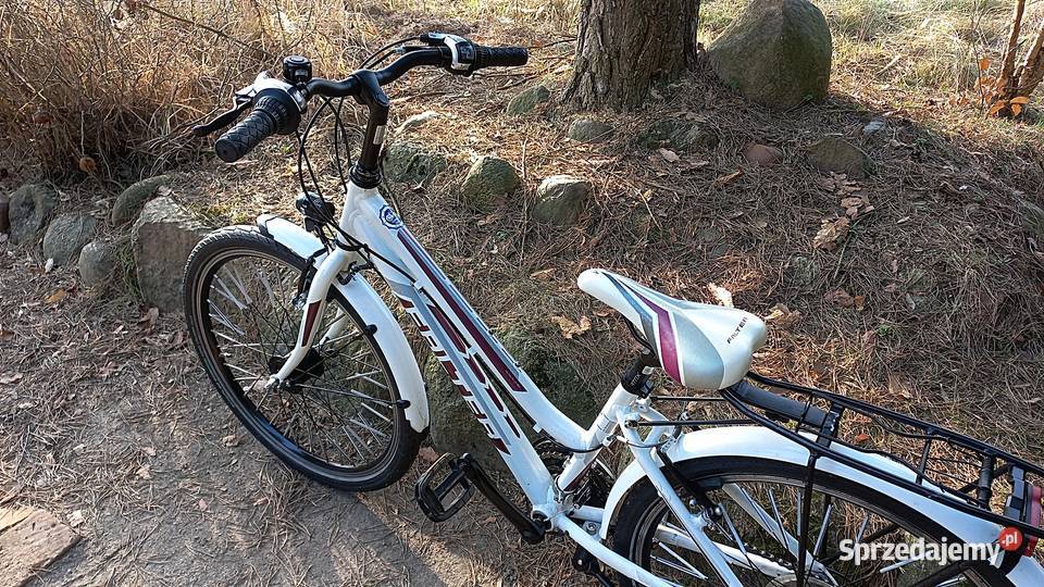 Alu Rower Młodzieżowy Dziecięcy Falter FX 421 Wołów