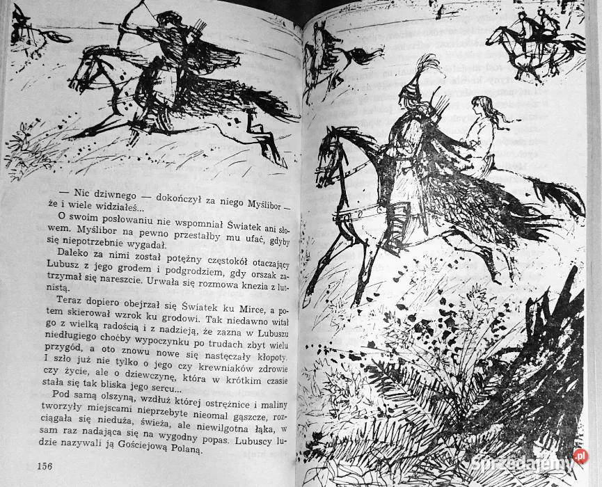 Lubuskie dziewanny Janina Brzostowska Chełm