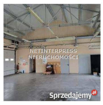 Lokal 43737m2 Strzelin