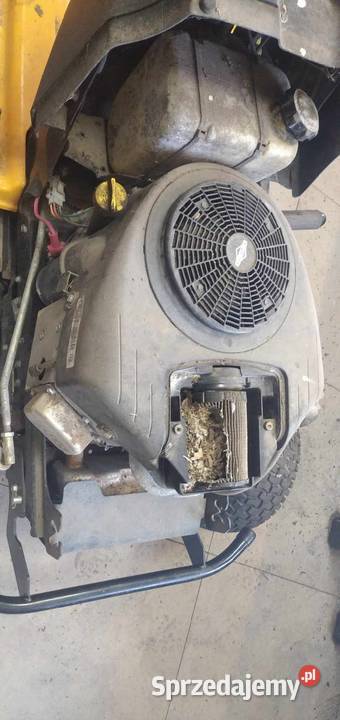 Naprawa sprzętu ogrodniczego skuterów i quadów kujawsko-pomorskie Golub-Dobrzyń