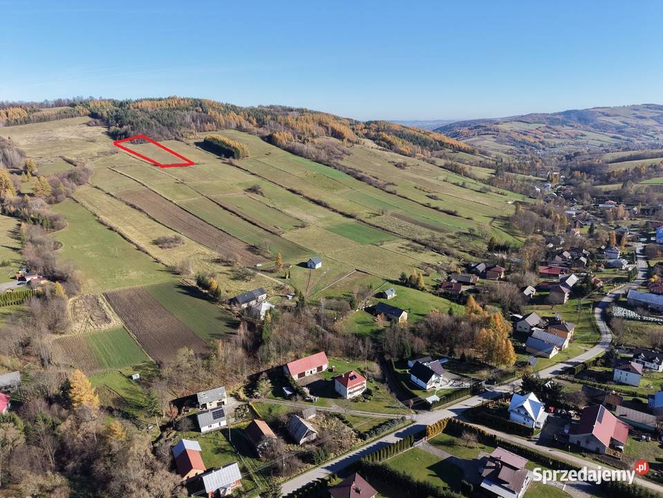 Widokowa działka 92 ar Brzezowa sprzedam