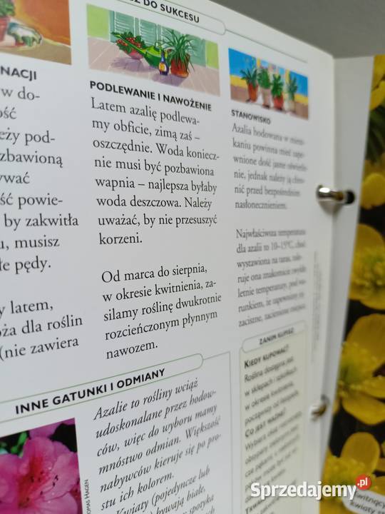 Dom pełen kwiatów książki Warszawa księgarnia Poradniki, albumy i reportaże mazowieckie