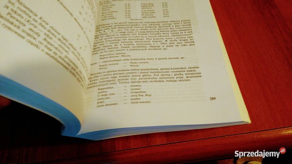 Średniowiecze Teresa Michałowska Wielka Historia Gdańsk