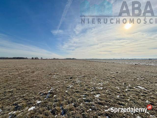 Duża działka w Słodkowie na sprzedaż 5000m2 Słodków