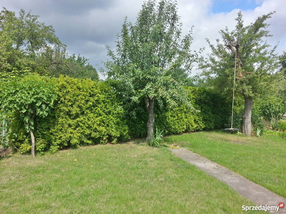 Działka rekreacyjna ogródek działkowy Wrocław rekreacyjna Wrocław
