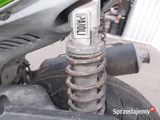 Neta Eikon Sędziszów Małopolski