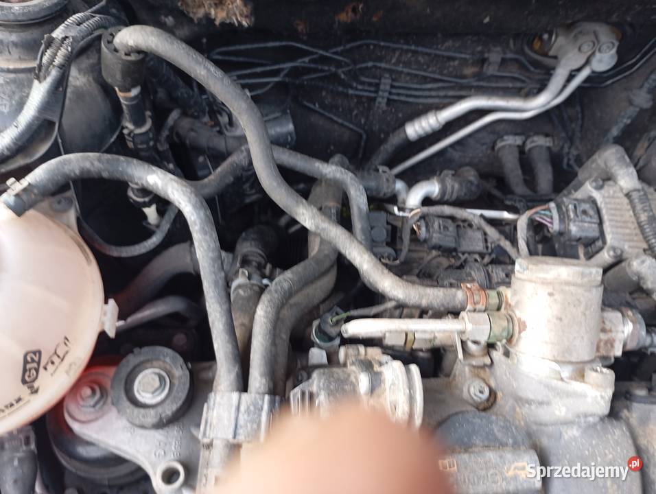 Skoda romster Škoda Wojkowice