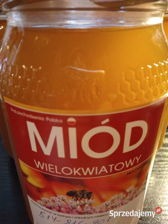 PROPOLIS Kit pszczeli świeżyj Ekologicznyj