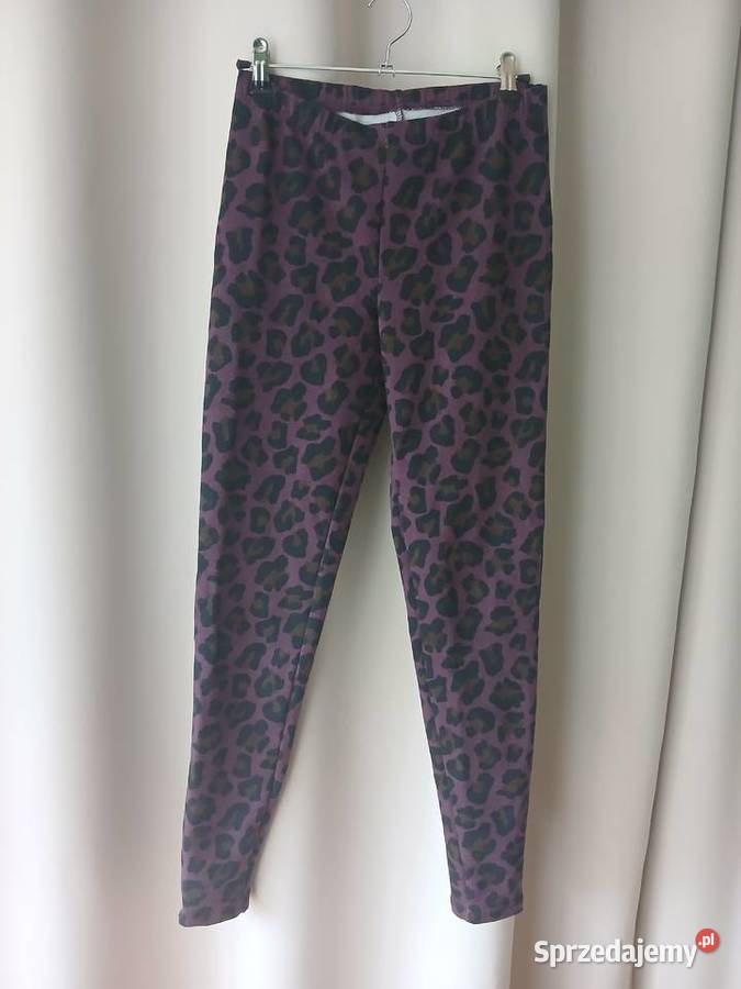 Legginsy Calzedonia S nowe Rozmiar 36(S) Częstochowa