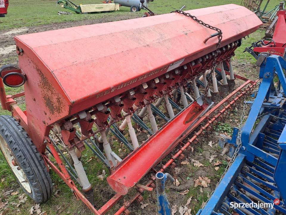 Siwnik reform semo fiona nordsten 25 metra Limanowa