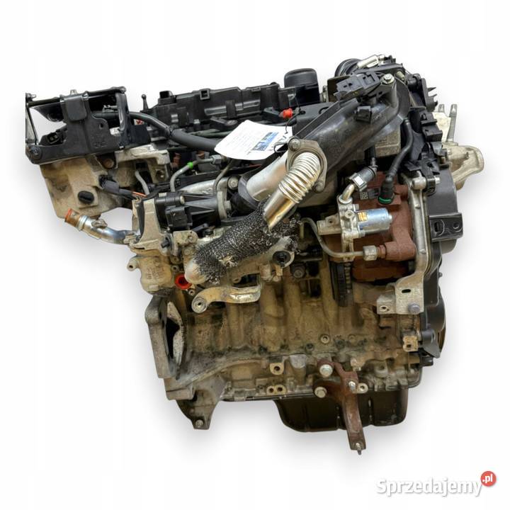 SILNIK T1DB Ford Focus III C C 16 TDCI 115 Chełm
