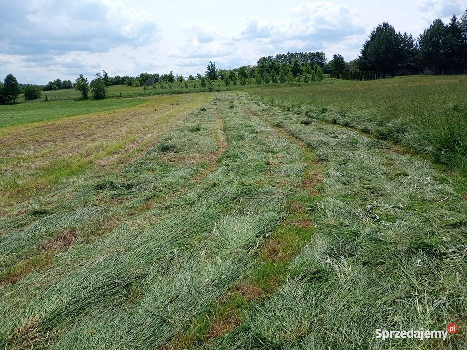 Siano120x130 Białystok