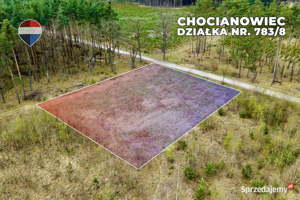 Działka budowlana w bezpośrednim sąsiedztwie Chocianowiec sprzedam