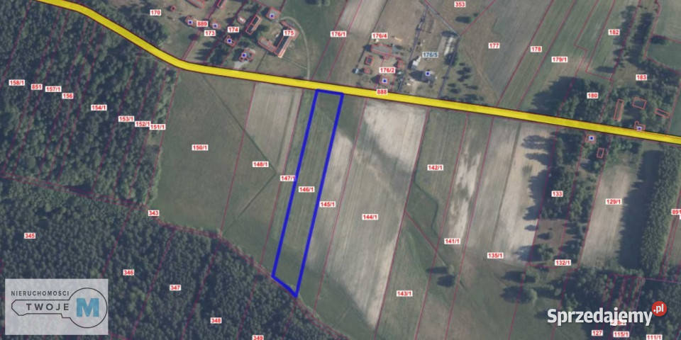 Działka 8000m2 Kluczewsko